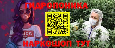 Альфа ПВП Братск